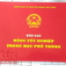 bang tot nghiep, thpt