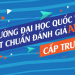 aun, hcmiu, iuoss, aun cap truong