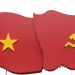 dang, chi bo sinh vien, cbsv