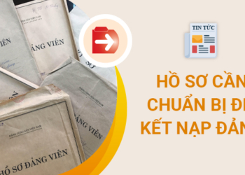 Quy trình kết nạp Đảng & chuyển Đảng viên chính thức đối với sinh viên
