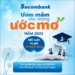 HỌC BỔNG SACOMBANK “ƯƠM MẦM CHO NHỮNG ƯỚC MƠ” – NĂM 2022