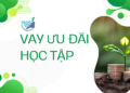 Chương trình sinh viên vay ưu đãi để học tập lãi suất 0% tại Quỹ Phát triển Đại học Quốc gia Thành phố Hồ Chí Minh năm học 2023 – 2024