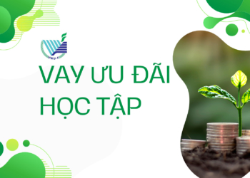 Chương trình sinh viên vay ưu đãi để học tập lãi suất 0% tại Quỹ Phát triển Đại học Quốc gia Thành phố Hồ Chí Minh năm học 2023 – 2024