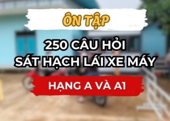 Ôn tập 250 câu hỏi lý thuyết lái xe Mô tô Hạng A/A1