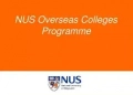 Chương trình thực tập NUS Overseas College (NOC) Internship
