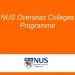Chương trình thực tập NUS Overseas College (NOC) Internship