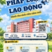 Hội thảo chuyên đề Pháp luật lao động dành cho sinh viên Trường Đại học Quốc tế